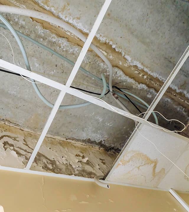 Slab Leak Repair Services-1
