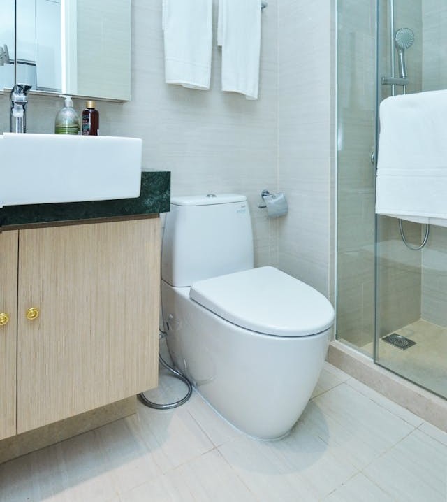 toilet repair